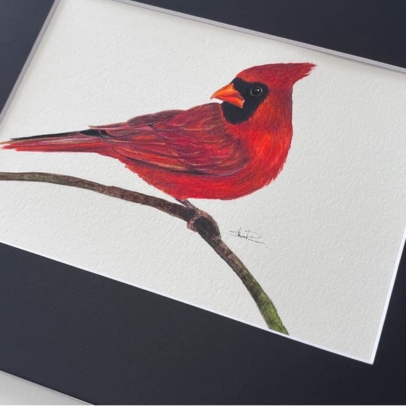 Original Watercolor Cardinal Bird Painting by me (Shannon Perrie/Perrie… - Picture 4 of 9